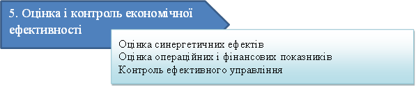 5. Оцінка і контроль економічної ефективності,Оцінка синергетичних ефектів Оцінка операційних і фінансових показників Контроль ефективного управління 