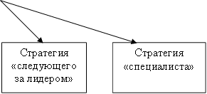 Стратегия «следующего за лидером»,Стратегия «специалиста»