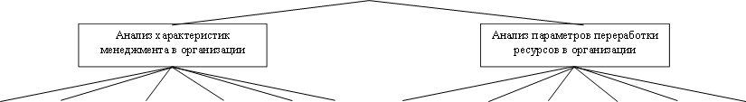 Анализ параметров переработки ресурсов в организации,Анализ характеристик менеджмента в организации