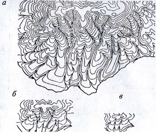 Без имени-2копирование
