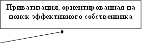Приватизация, ориентированная на поиск эффективного собственника