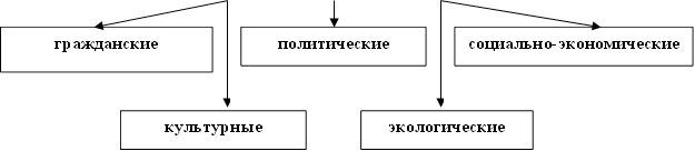 гражданские,культурные,политические,экологические,социально-экономические