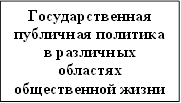 Государственная публичная политика в различных областях общественной жизни