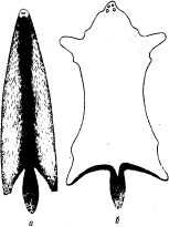 Описание: ris13