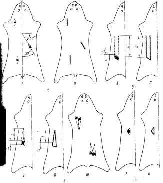 Описание: ris18