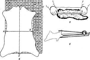 Описание: ris14