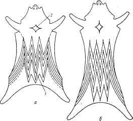 Описание: ris30