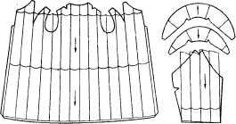 Описание: ris43-1