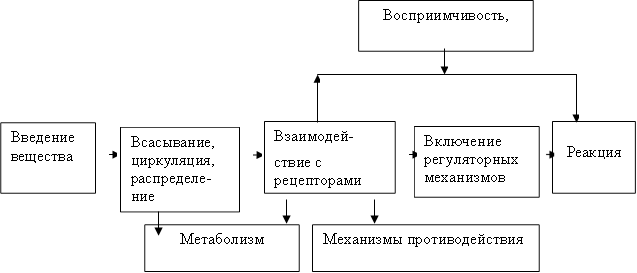 Восприимчивость, реактивность,Введение вещества,Всасывание, циркуляция, распределе-ние,Взаимодей- ствие с рецепторами ,Включение регуляторных механизмов,Реакция ,Метаболизм ,Механизмы противодействия (гомеостаз)