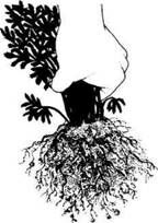 Описание: C:UsersЯDesktopСельское хозяйство и пищевая промышленностьДекоративное садоводствоmediaimage11.jpeg