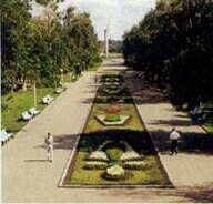 Описание: C:UsersЯDesktopСельское хозяйство и пищевая промышленностьДекоративное садоводствоmediaimage21.jpeg