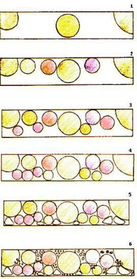 Описание: C:UsersЯDesktopСельское хозяйство и пищевая промышленностьДекоративное садоводствоmediaimage22.jpeg
