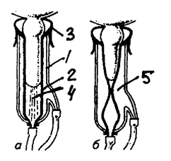 Описание: рис