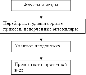 Фрукты и ягоды,Перебирают, удаляя сорные примеси, испорченные экземпляры,Удаляют плодоножку,Промывают в проточной воде