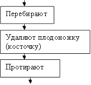 Перебирают ,Удаляют плодоножку (косточку),Протирают