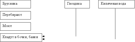 Брусника ,Перебирают ,Моют ,Кладут в бочки, банки,Гвоздика ,Кипяченая вода