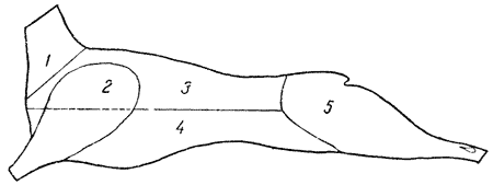 Описание: Схема кулинарного разруба бараньей туши: 1 — шея, 2 — лопатка, 3 — корейка, 4 — грудинка, 5 — задняя нога.