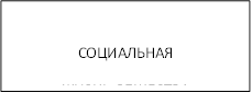 СОЦИАЛЬНАЯ ЖИЗНЬ ОБЩЕСТВА 
