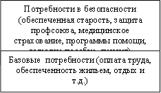 Потребности в безопасности (обеспеченная старость, защита профсоюза, медицинское страхование, программы помощи, выходне пособие, пенсия),Базовые потребности (оплата труда, обеспеченность жильем, отдых и т.д.)