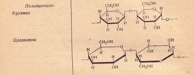 Описание: Полимеры 5