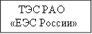 ТЭС РАО «ЕЭС России» 