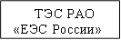 ТЭС РАО «ЕЭС России» 