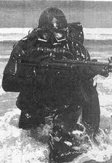 Описание: http://www.vestnik.com/issues/2001/1218/images/shteynberg1.jpg