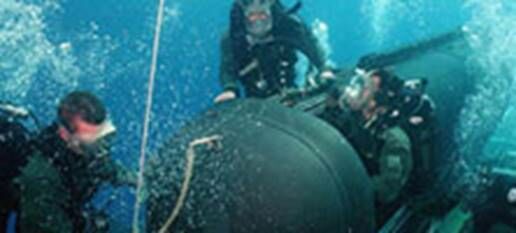 Описание: mini sub