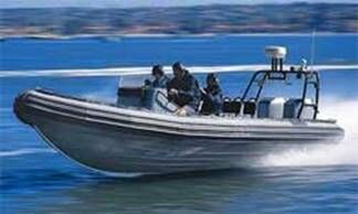 Описание: gemini waverider inflatables