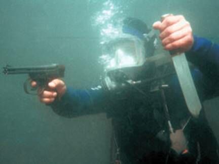 Описание: http://www.rodgaz.ru/image.php?tid=17212&from=Production