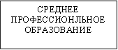 СРЕДНЕЕ ПРОФЕССИОНЛЬНОЕ ОБРАЗОВАНИЕ