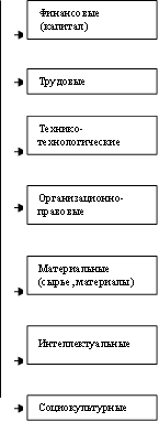 Материальные (сырье, материалы) ,Организационно-правовые,Трудовые,Финансовые (капитал) ,Социокультурные,Технико-технологические,Интеллектуальные