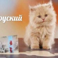 Аватар